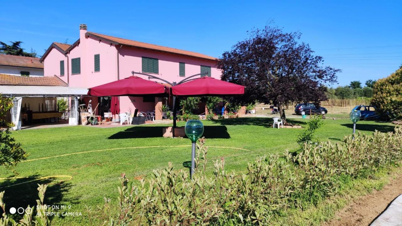 Agriturismo Calendiluna Luni エクステリア 写真