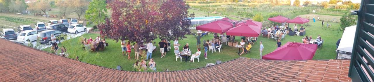 Agriturismo Calendiluna Luni エクステリア 写真